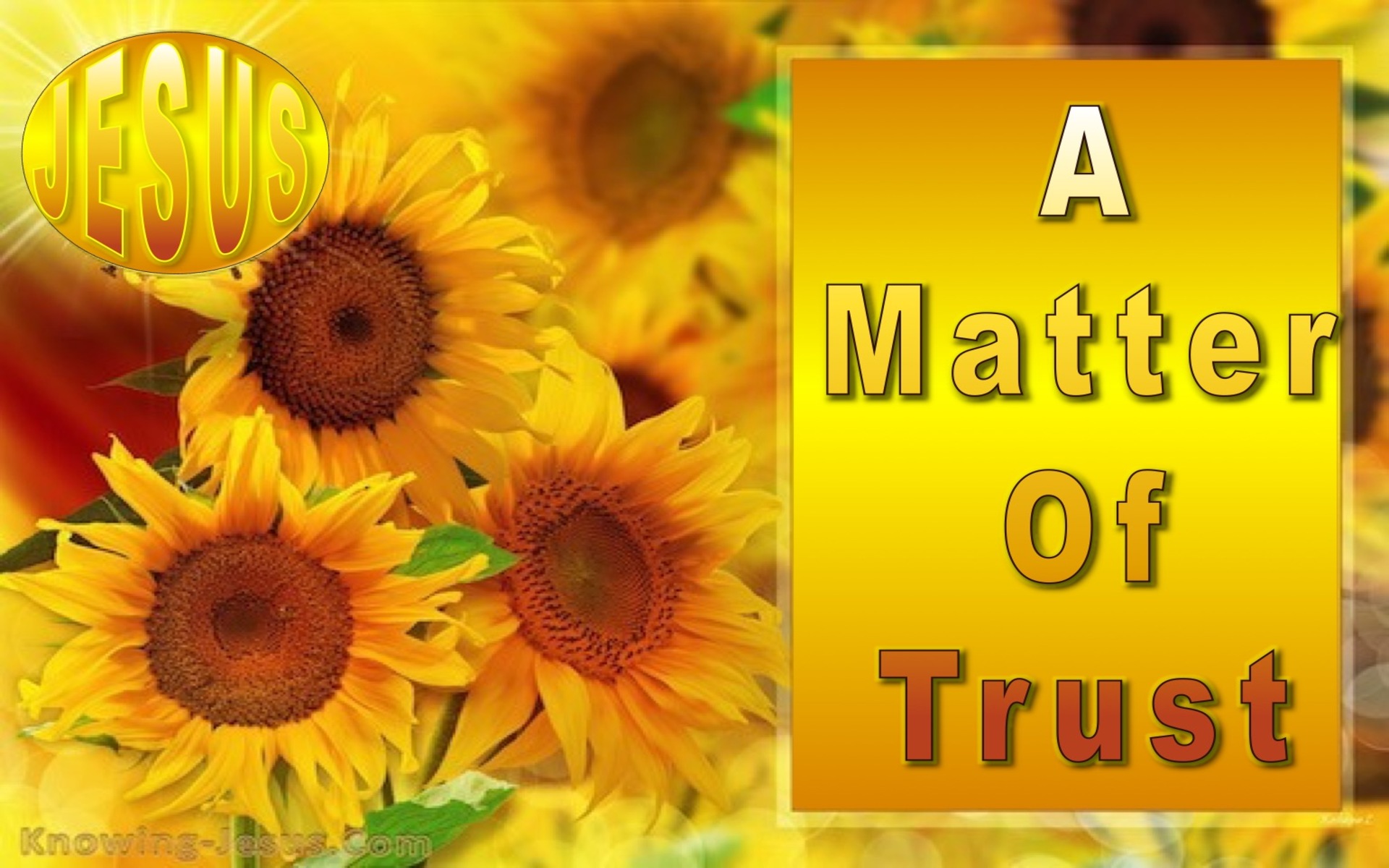 A Matter of Trust (devotional)09-20 (yellow)